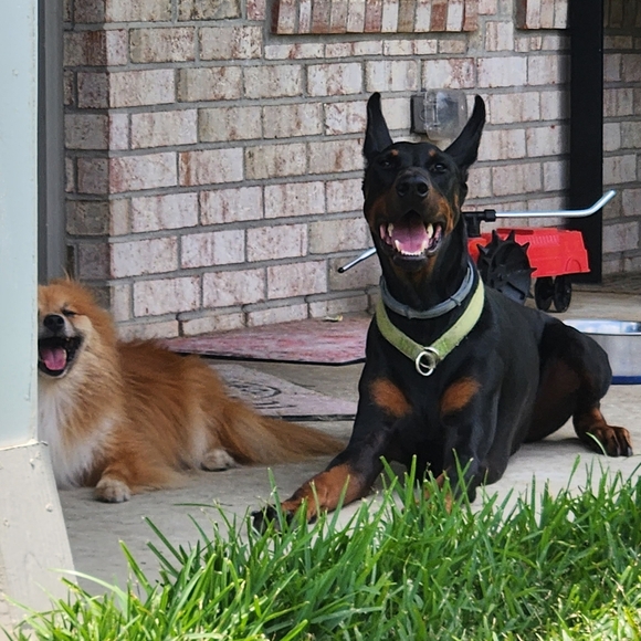 Meet your Posher, Ashley - Picture 6 of 6